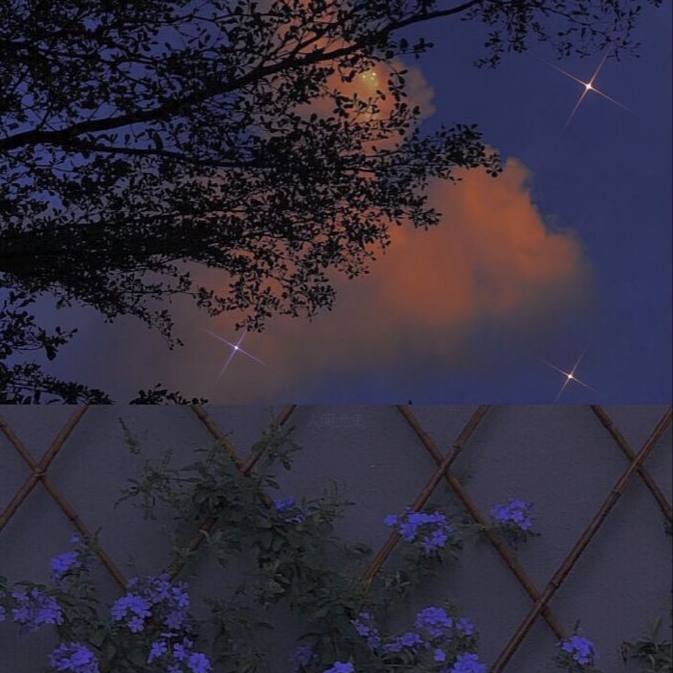 موسی الرضا هاتفی گل بانو